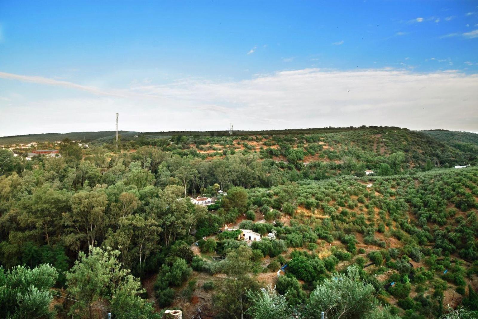 Casa Rural Mirasierra Hornachuelos Buitenkant foto